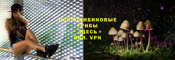 кокс Баксан