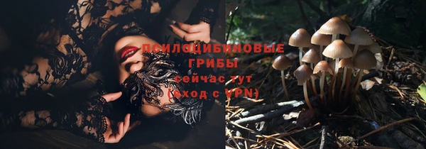 кокс Арсеньев