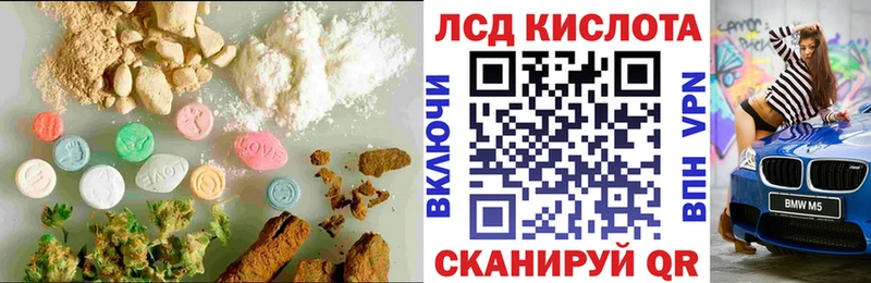 кракен как войти  где найти наркотики  Нефтекумск  Лсд 25 экстази ecstasy 